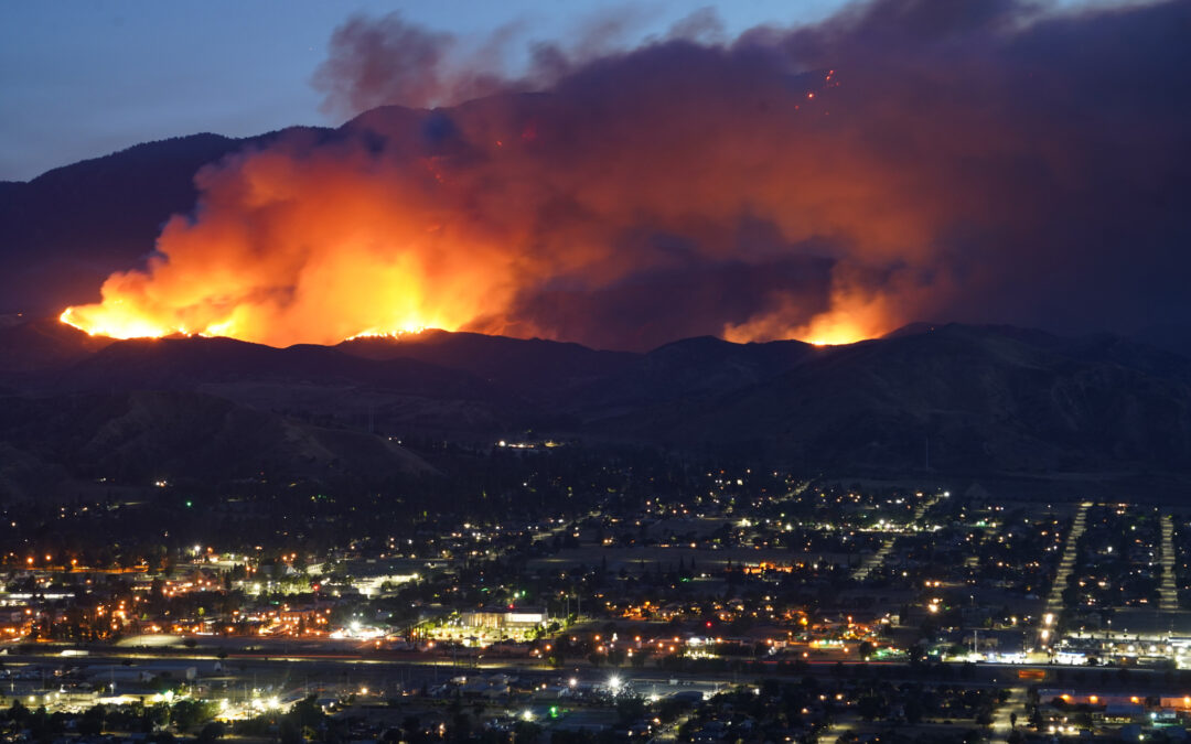 Special Needs Network’s President and CEO Areva Martin  Offers Support to Families with Disabilities Amid Devastating L.A. County Fires